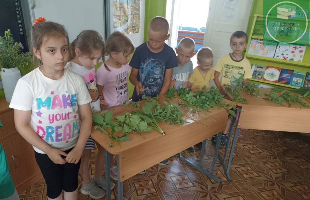 лекарственное растение родного края